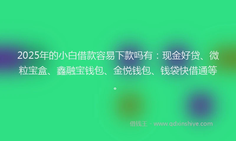 2025年的小白借款容易下款吗有：现金好贷、微粒宝盒、鑫融宝钱包、金悦钱包、钱袋快借通等。