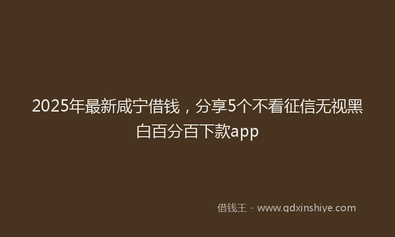 2025年最新咸宁借钱，分享5个不看征信无视黑白百分百下款app