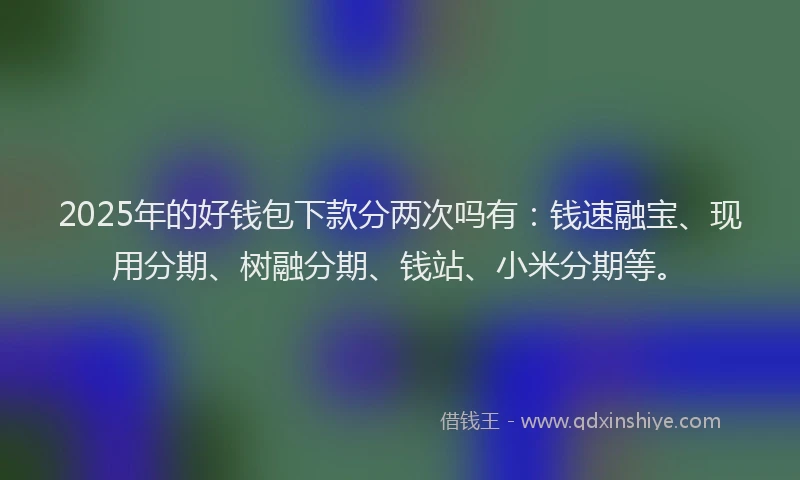 2025年的好钱包下款分两次吗有：钱速融宝、现用分期、树融分期、钱站、小米分期等。