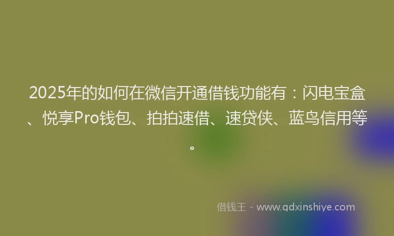 2025年的如何在微信开通借钱功能有：闪电宝盒、悦享Pro钱包、拍拍速借、速贷侠、蓝鸟信用等。