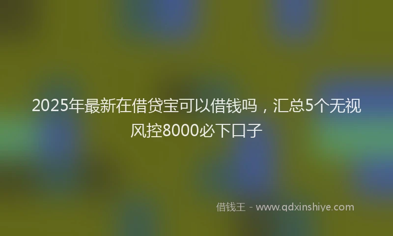 2025年最新在借贷宝可以借钱吗，汇总5个无视风控8000必下口子