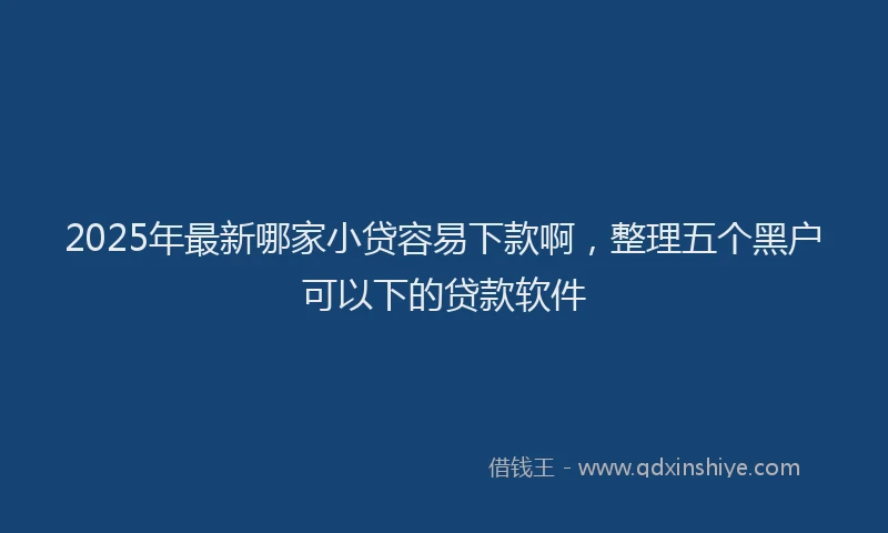 2025年最新哪家小贷容易下款啊，整理五个黑户可以下的贷款软件