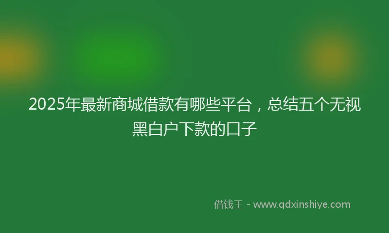 2025年最新商城借款有哪些平台，总结五个无视黑白户下款的口子