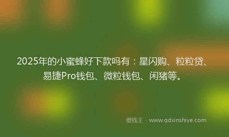 2025年的小蜜蜂好下款吗有：星闪购、粒粒贷、易捷Pro钱包、微粒钱包、闲猪等。