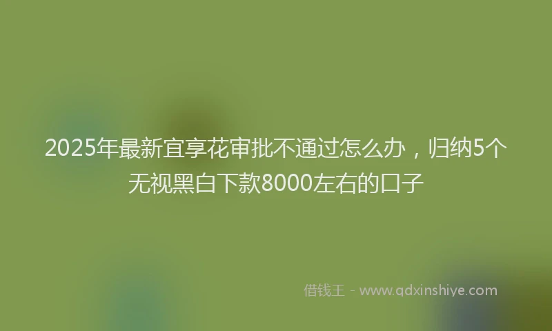 2025年最新宜享花审批不通过怎么办，归纳5个无视黑白下款8000左右的口子