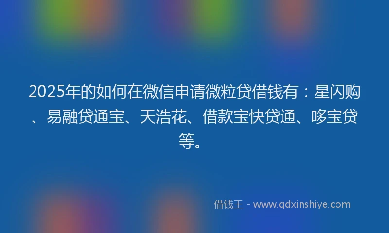 2025年的如何在微信申请微粒贷借钱有：星闪购、易融贷通宝、天浩花、借款宝快贷通、哆宝贷等。