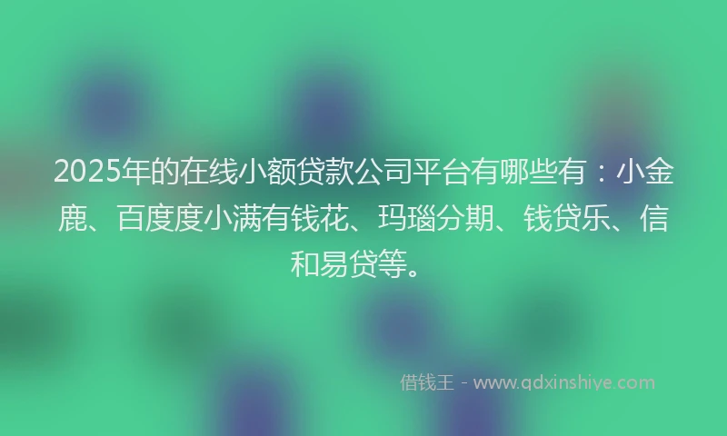 2025年的在线小额贷款公司平台有哪些有：小金鹿、百度度小满有钱花、玛瑙分期、钱贷乐、信和易贷等。