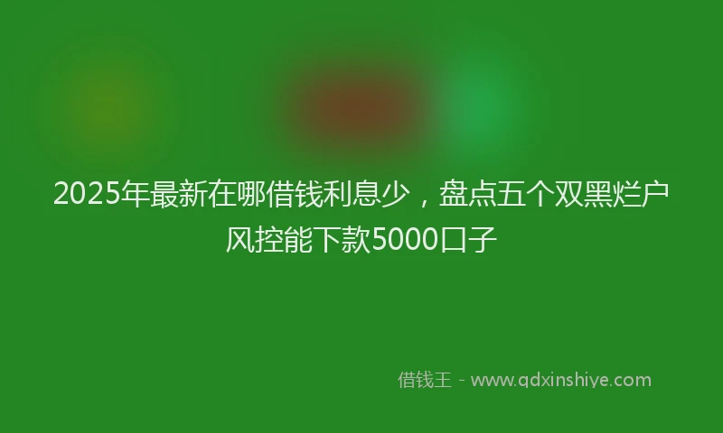 2025年最新在哪借钱利息少，盘点五个双黑烂户风控能下款5000口子