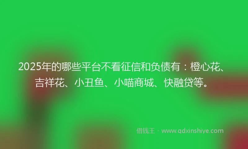 2025年的哪些平台不看征信和负债有：橙心花、吉祥花、小丑鱼、小喵商城、快融贷等。