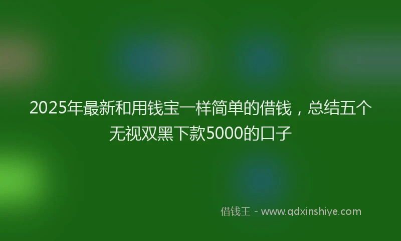 2025年最新和用钱宝一样简单的借钱，总结五个无视双黑下款5000的口子