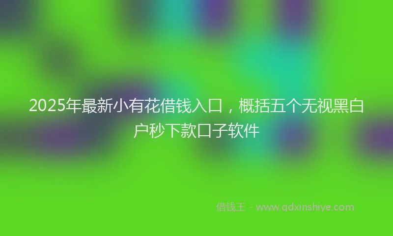 2025年最新小有花借钱入口，概括五个无视黑白户秒下款口子软件
