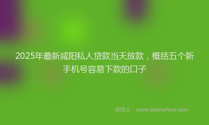 2025年最新咸阳私人贷款当天放款，概括五个新手机号容易下款的口子