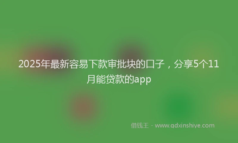2025年最新容易下款审批块的口子，分享5个11月能贷款的app