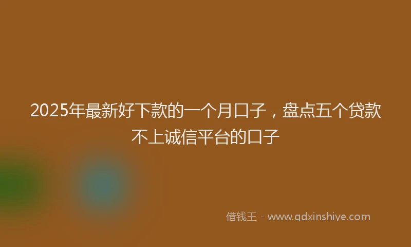 2025年最新好下款的一个月口子，盘点五个贷款不上诚信平台的口子