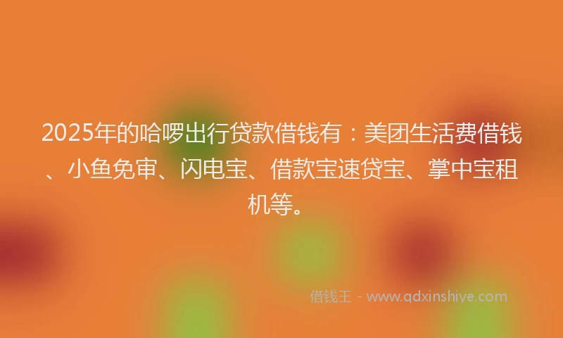 2025年的哈啰出行贷款借钱有：美团生活费借钱、小鱼免审、闪电宝、借款宝速贷宝、掌中宝租机等。