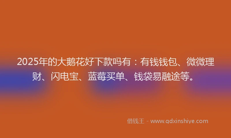 2025年的大鹅花好下款吗有：有钱钱包、微微理财、闪电宝、蓝莓买单、钱袋易融途等。