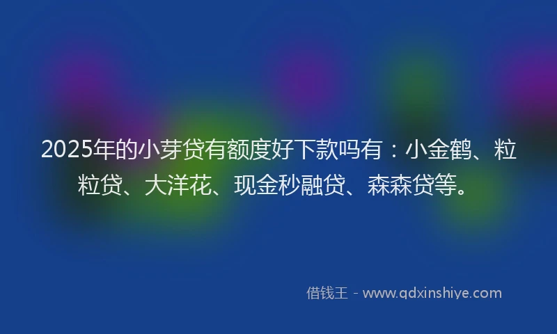 2025年的小芽贷有额度好下款吗有：小金鹤、粒粒贷、大洋花、现金秒融贷、森森贷等。