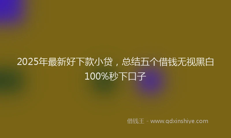 2025年最新好下款小贷，总结五个借钱无视黑白100%秒下口子