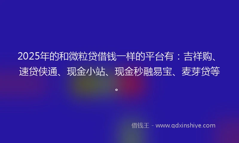 2025年的和微粒贷借钱一样的平台有：吉祥购、速贷侠通、现金小站、现金秒融易宝、麦芽贷等。