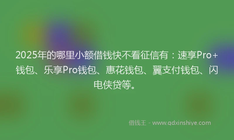 2025年的哪里小额借钱快不看征信有：速享Pro+钱包、乐享Pro钱包、惠花钱包、翼支付钱包、闪电侠贷等。