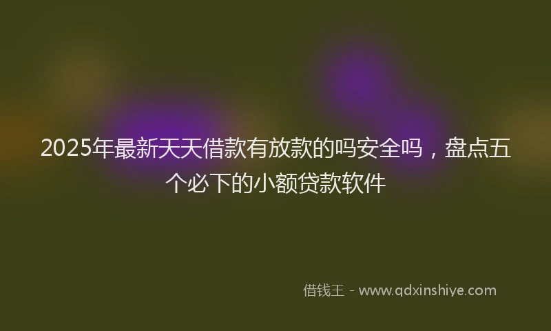2025年最新天天借款有放款的吗安全吗，盘点五个必下的小额贷款软件