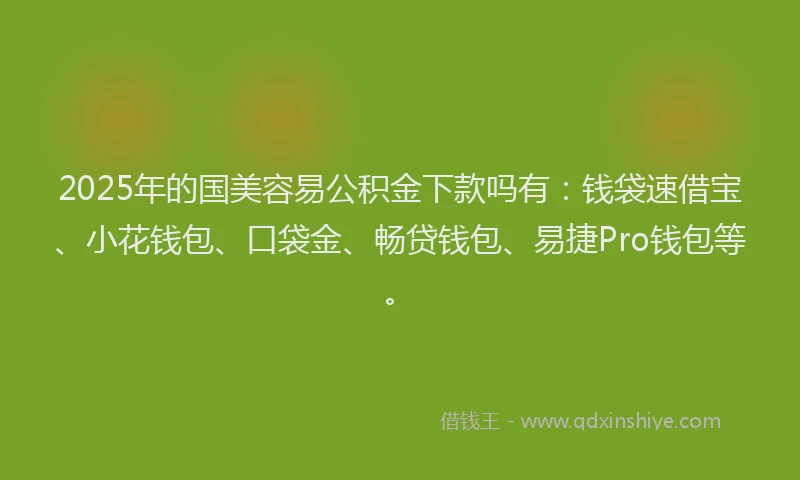 2025年的国美容易公积金下款吗有：钱袋速借宝、小花钱包、口袋金、畅贷钱包、易捷Pro钱包等。