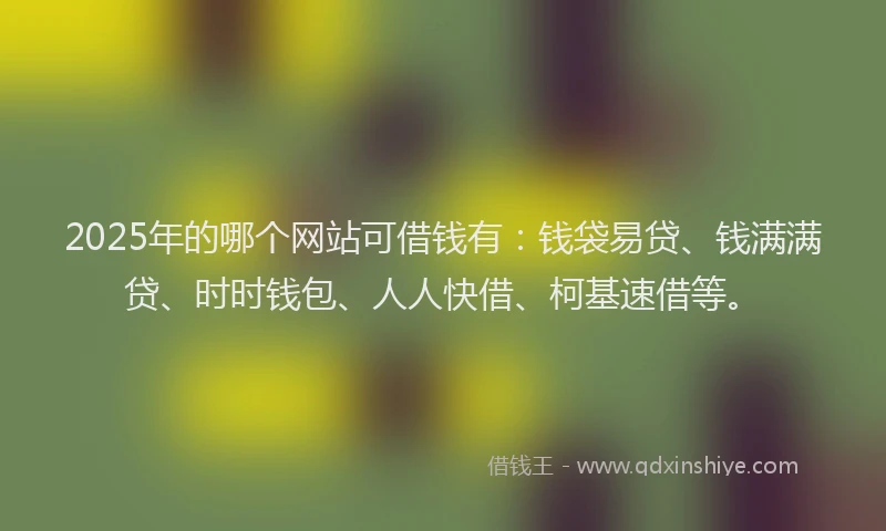 2025年的哪个网站可借钱有：钱袋易贷、钱满满贷、时时钱包、人人快借、柯基速借等。