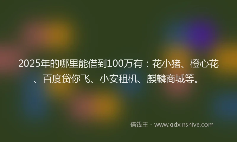 2025年的哪里能借到100万有：花小猪、橙心花、百度贷你飞、小安租机、麒麟商城等。