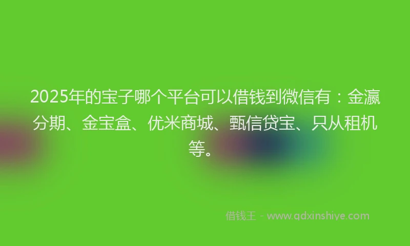 2025年的宝子哪个平台可以借钱到微信有：金瀛分期、金宝盒、优米商城、甄信贷宝、只从租机等。