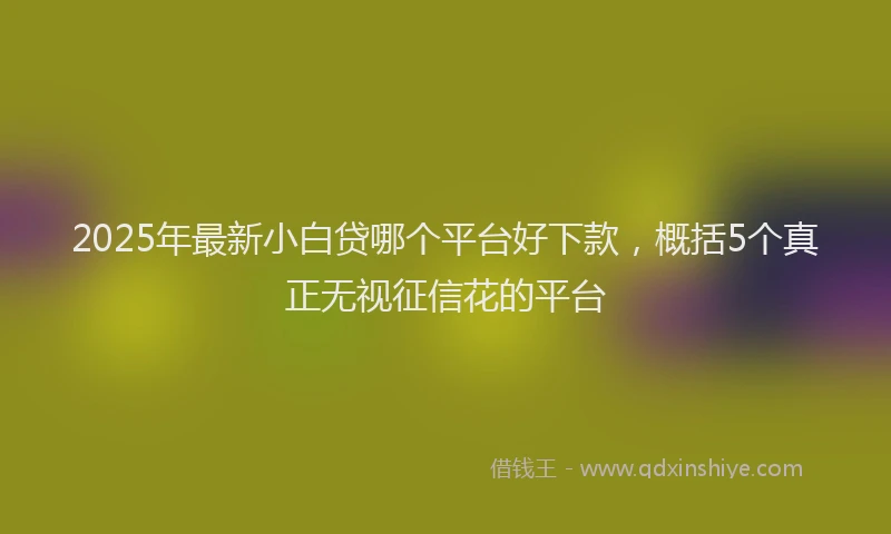 2025年最新小白贷哪个平台好下款，概括5个真正无视征信花的平台