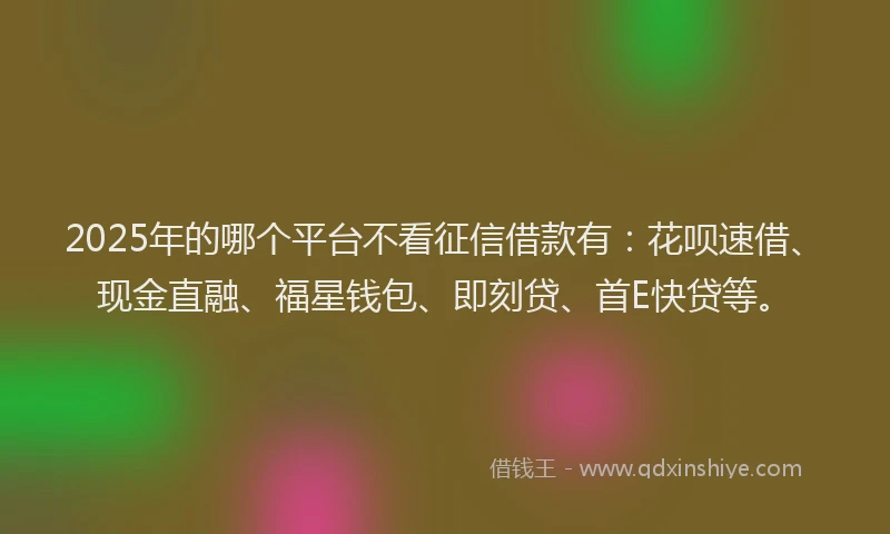 2025年的哪个平台不看征信借款有：花呗速借、现金直融、福星钱包、即刻贷、首E快贷等。