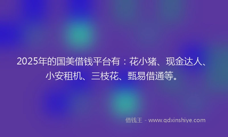 2025年的国美借钱平台有：花小猪、现金达人、小安租机、三枝花、甄易借通等。
