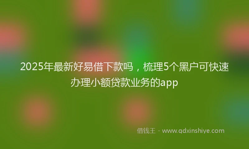 2025年最新好易借下款吗，梳理5个黑户可快速办理小额贷款业务的app