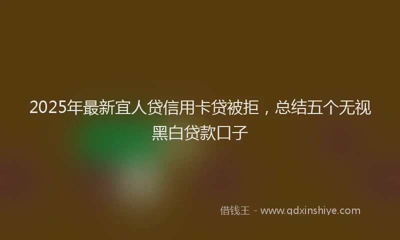2025年最新宜人贷信用卡贷被拒，总结五个无视黑白贷款口子