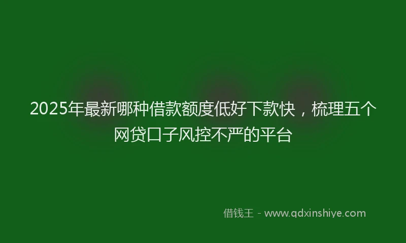 2025年最新哪种借款额度低好下款快，梳理五个网贷口子风控不严的平台