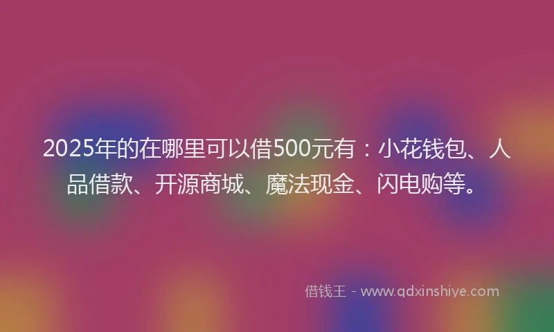2025年的在哪里可以借500元有：小花钱包、人品借款、开源商城、魔法现金、闪电购等。