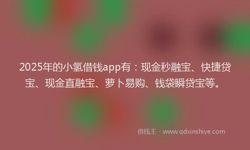 2025年的小氢借钱app有：现金秒融宝、快捷贷宝、现金直融宝、萝卜易购、钱袋瞬贷宝等。