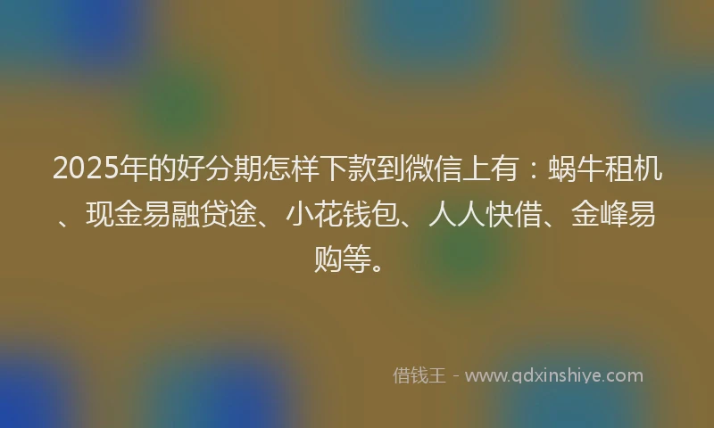 2025年的好分期怎样下款到微信上有：蜗牛租机、现金易融贷途、小花钱包、人人快借、金峰易购等。