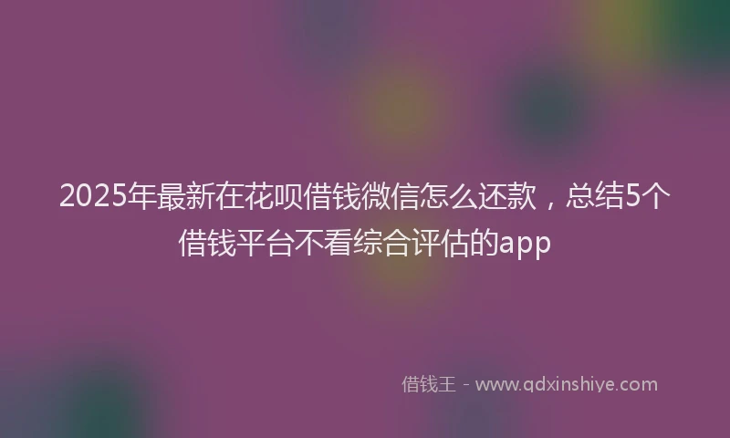 2025年最新在花呗借钱微信怎么还款，总结5个借钱平台不看综合评估的app