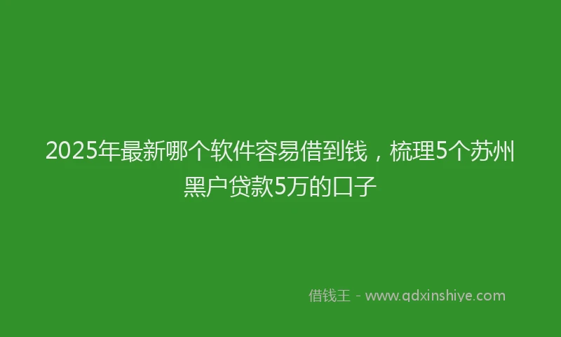 2025年最新哪个软件容易借到钱，梳理5个苏州黑户贷款5万的口子