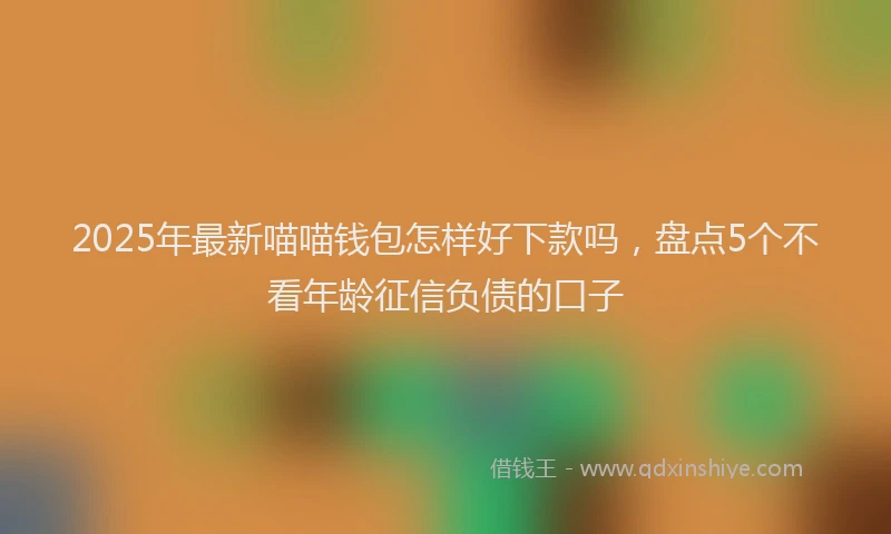 2025年最新喵喵钱包怎样好下款吗，盘点5个不看年龄征信负债的口子