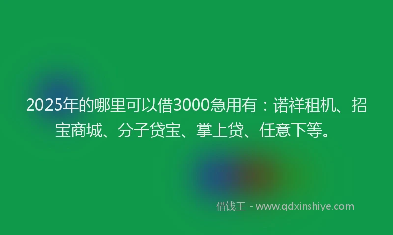 2025年的哪里可以借3000急用有：诺祥租机、招宝商城、分子贷宝、掌上贷、任意下等。