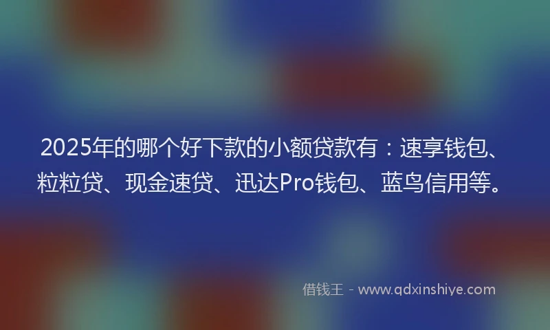 2025年的哪个好下款的小额贷款有：速享钱包、粒粒贷、现金速贷、迅达Pro钱包、蓝鸟信用等。