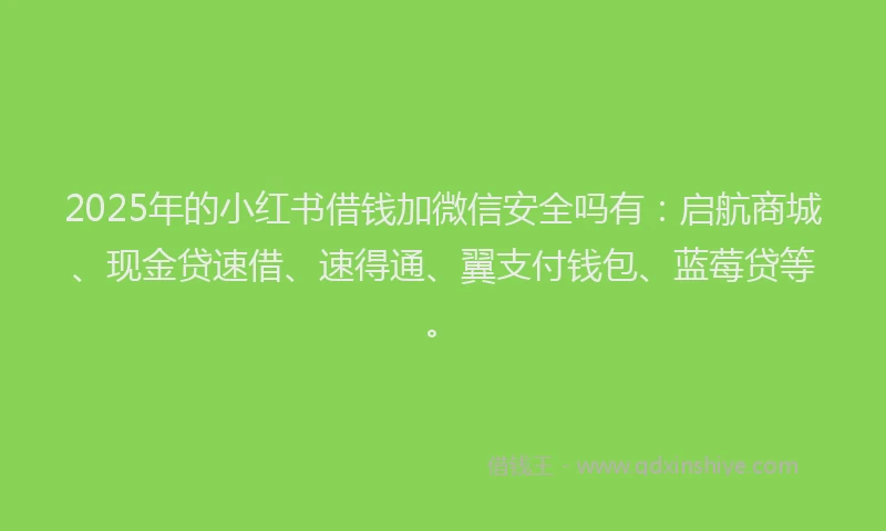 2025年的小红书借钱加微信安全吗有：启航商城、现金贷速借、速得通、翼支付钱包、蓝莓贷等。