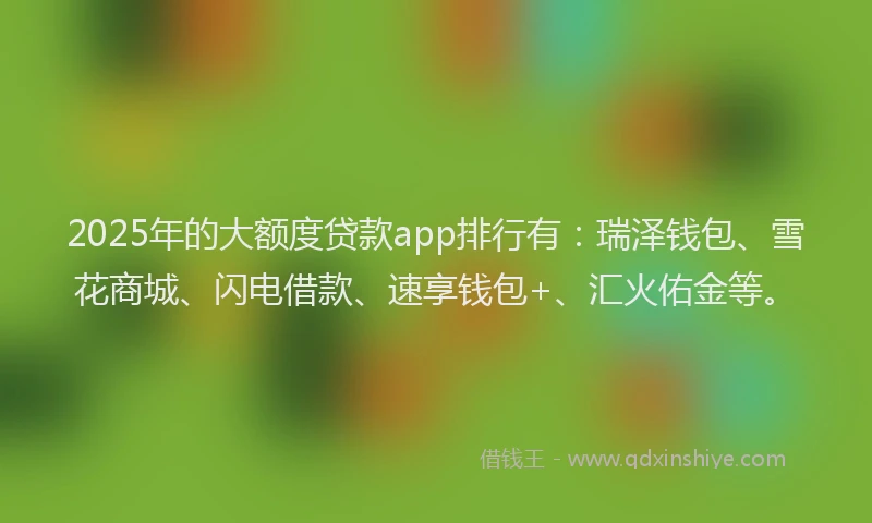 2025年的大额度贷款app排行有：瑞泽钱包、雪花商城、闪电借款、速享钱包+、汇火佑金等。
