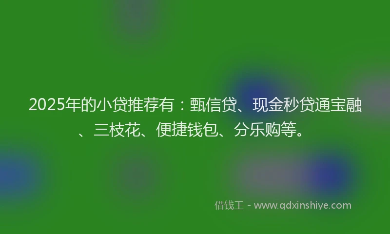 2025年的小贷推荐有：甄信贷、现金秒贷通宝融、三枝花、便捷钱包、分乐购等。