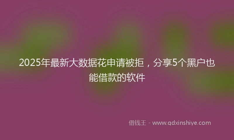 2025年最新大数据花申请被拒，分享5个黑户也能借款的软件