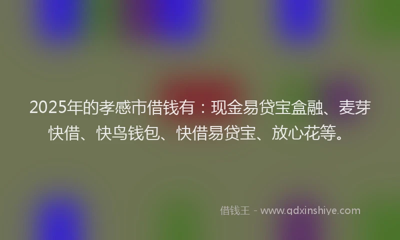 2025年的孝感市借钱有：现金易贷宝盒融、麦芽快借、快鸟钱包、快借易贷宝、放心花等。