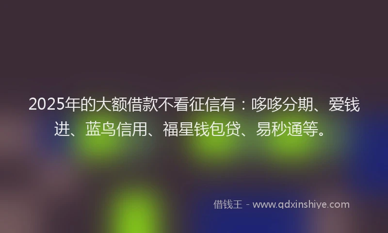 2025年的大额借款不看征信有：哆哆分期、爱钱进、蓝鸟信用、福星钱包贷、易秒通等。
