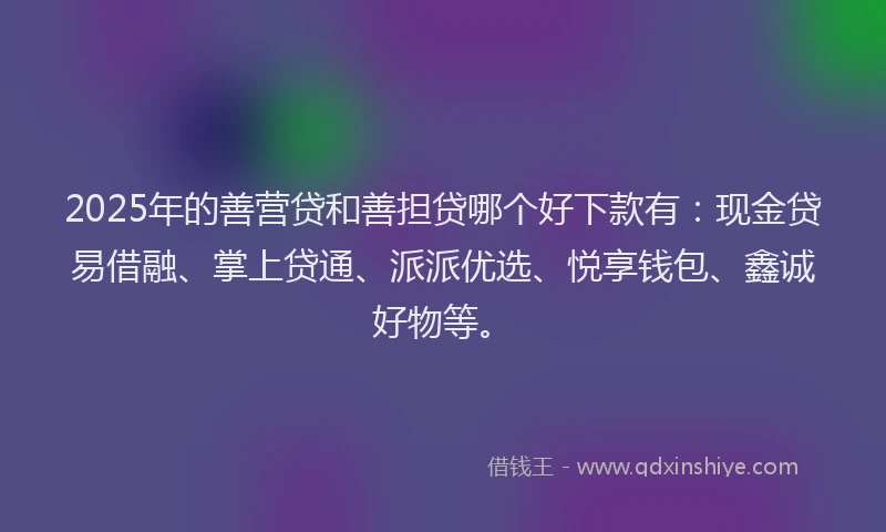 2025年的善营贷和善担贷哪个好下款有：现金贷易借融、掌上贷通、派派优选、悦享钱包、鑫诚好物等。